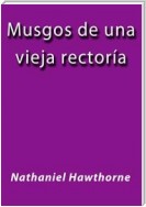 Musgos de la vieja rectoria