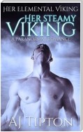 Her Steamy Viking: A Paranormal Romance