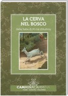 La cerva nel bosco