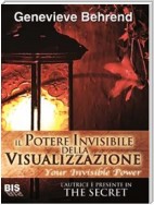 Il potere invisibile della visualizzazione