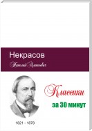 Некрасов за 30 минут