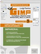 GIMP: tutorial pratici per Windows, Mac e Linux. Livello 9