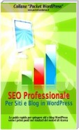SEO Professionale per Siti e Blog in WordPress
