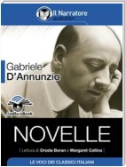 Novelle (Audio-eBook)