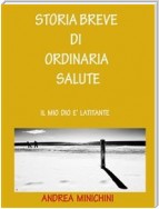 Storia breve di ordinaria salute