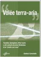 Volée terra-aria