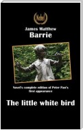 The little white bird or the first appearance of Peter Pan