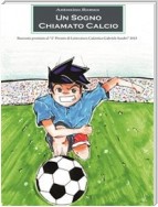 Un sogno chiamato calcio