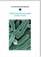 I cibi fermentati nel mondo - Storia e ricette