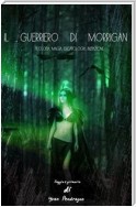 Il Guerriero di Morrigan