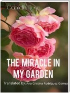 The Miracle In My Garden