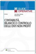 Contabilità, bilancio e controllo degli enti non profit