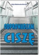 Odprowadzam ciszę