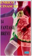 14 fantasie brevi