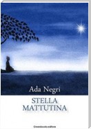 Stella mattutina