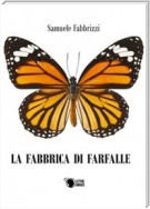 La fabbrica di farfalle