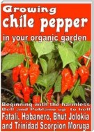 Growing chile pepper in your organic  garden