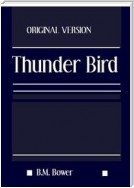 The Thunder Bird