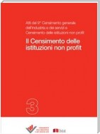 II Censimento delle istituzioni non profit