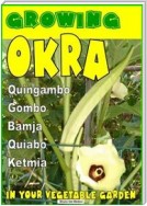 Growing Okra in your vegetable garden