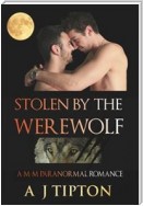 Stolen by the Werewolf: A M-M Paranormal Romance
