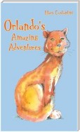 Orlando's Amazing Adventures