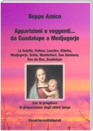 Apparizioni e veggenti…da Guadalupe a Medjugorje - Con le preghiere in preparazione degli ultimi tempi