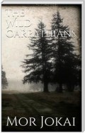 The Wild Carpathians