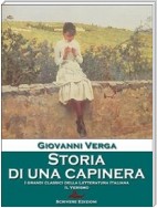 Storia di una capinera