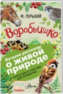 Воробьишко. Рассказы с вопросами и ответами для почемучек