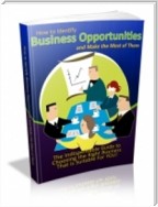 How to Identify Business Opportunities and Make the Most of Them