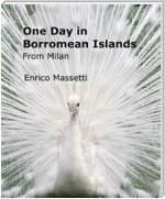 One Day in Borromean Islands