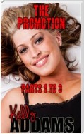 The Promotion - Parts 1 to 3