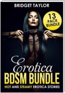 Erotica Bundle: Hot And Sexy Steamy Erotica Stories