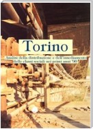 Torino. Analisi della distribuzione e dell'insediamento delle classi sociali nei primi anni '90