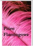 Pióro Flamingowe