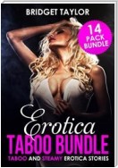 BDSM And Taboo Erotica Bundle