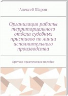 Организация работы территориального отдела судебных приставов по линии исполнительного производства. Краткое практическое пособие