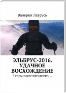 Эльбрус-2016. Удачное восхождение. В горы после пятидесяти – 4