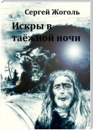 Искры в таёжной ночи