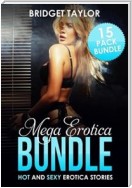 Mega Erotica Bundle: Hot and Steamy Erotica Stories