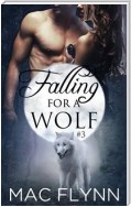 Falling For A Wolf #3: BBW Werewolf Shifter Romance