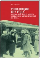 Революция 1917 года и борьба элит вокруг вопроса о сепаратном мире с Германией (1914–1918 гг.)