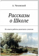 Рассказы о Школе. Из опыта работы дилетанта-учителя