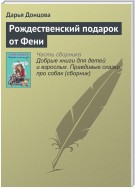 Рождественский подарок от Фени