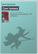 Сын тумана