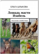 Лошадь масти Изабель. Рассказы о животных