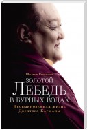 Золотой лебедь в бурных водах. Необыкновенная жизнь Десятого Кармапы