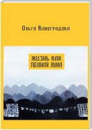 Жизнь как полная луна. Маленькие истории о современном Китае