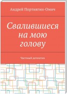 Свалившиеся на мою голову. Частный детектив